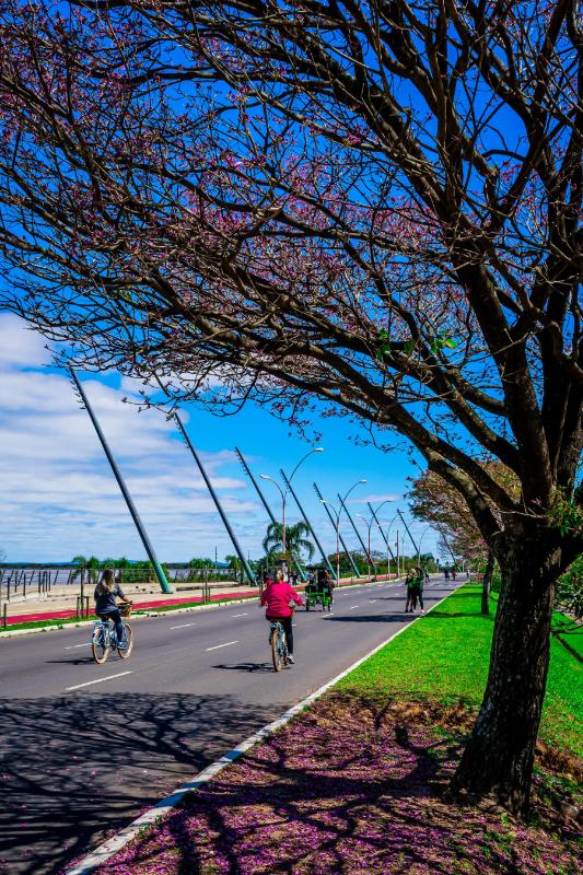 Infraestrutura Viária